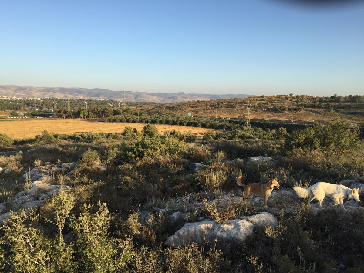 Vila Peace Tent Kfar Rut Exteriér fotografie