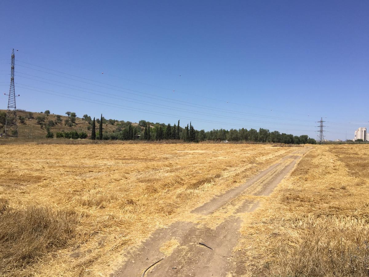 Vila Peace Tent Kfar Rut Exteriér fotografie